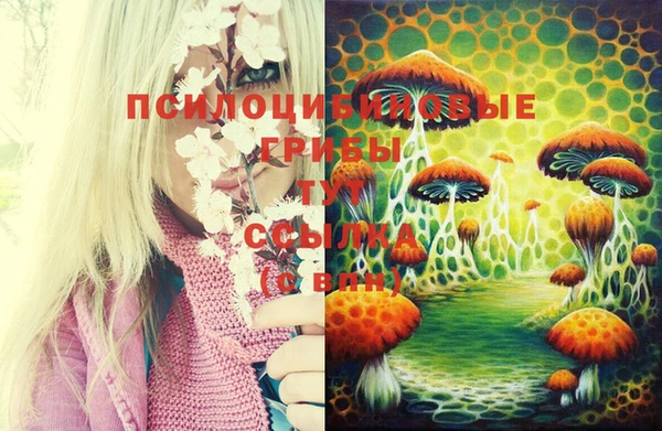 прущий лед Киреевск