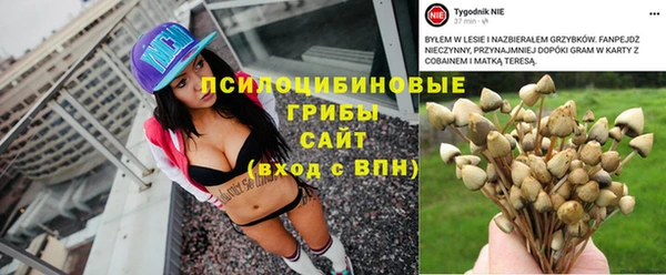 прущий лед Киреевск